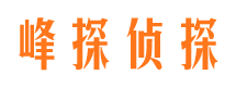 类乌齐市婚外情调查